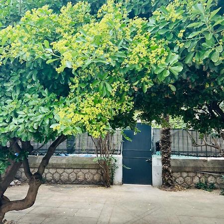 Maison 23 Coursan Екстер'єр фото